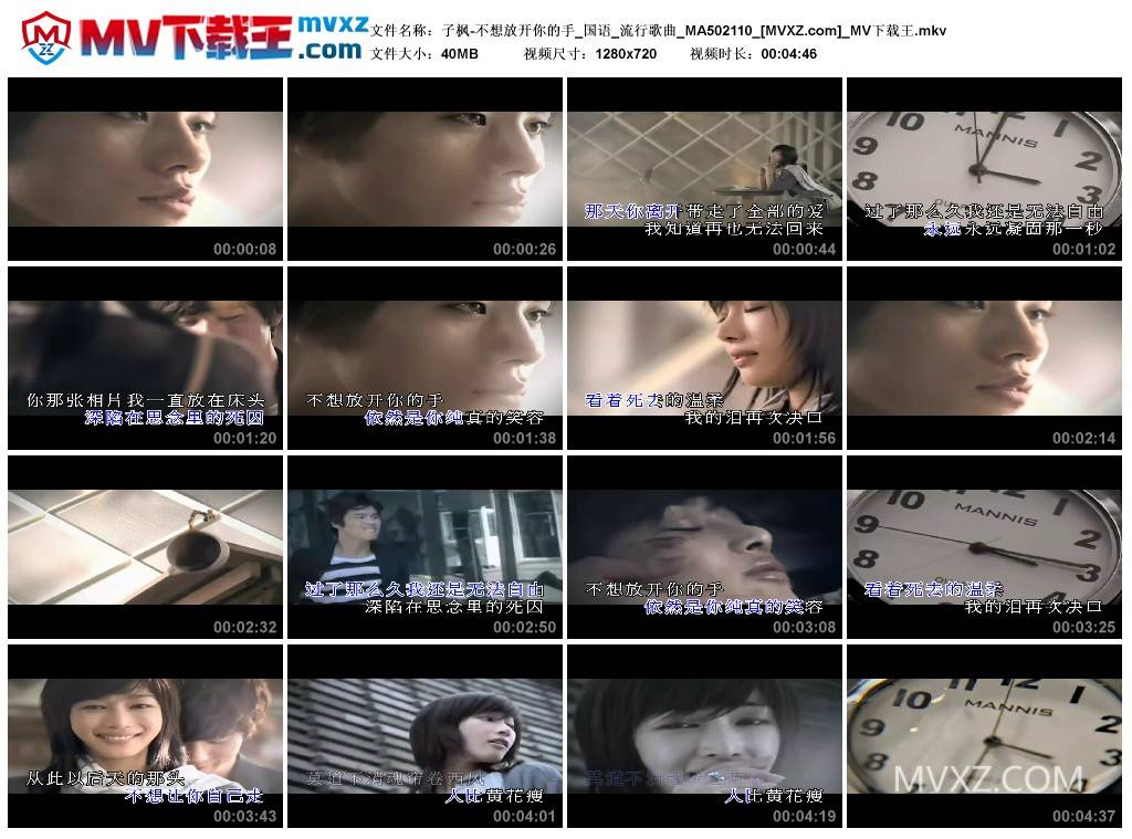 子枫-不想放开你的手_国语_流行歌曲_MA502110